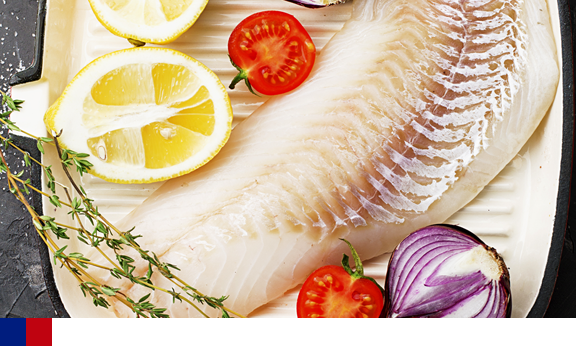 Bacalhau e seus benefícios